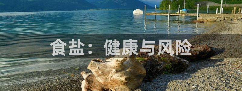 66m威九国际精选
