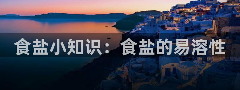 威九国际男主