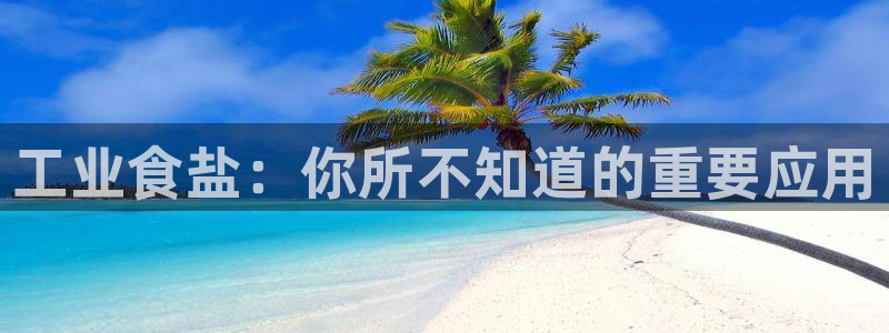 威九国际的金融服务有哪些