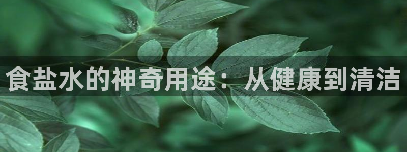 威九国际精忐