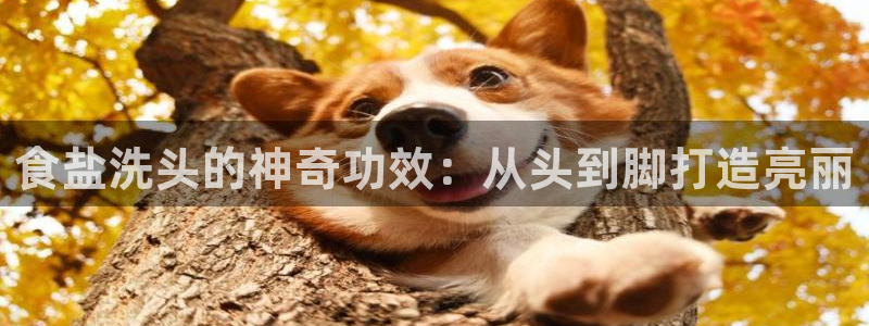 78mapp威九国际免费官方版下载