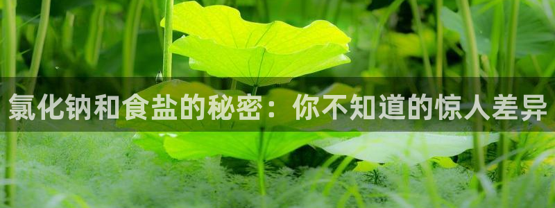 威九国际免费网络站