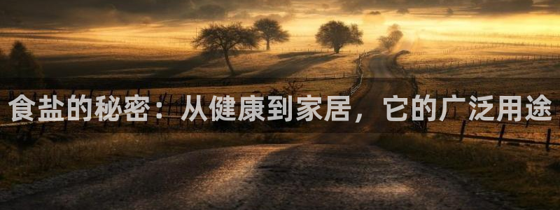 威九国际ppt免费吗
