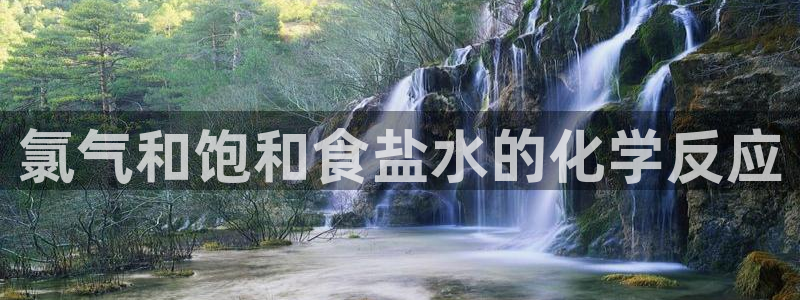 威九国际空降服务女演员叫什么名字