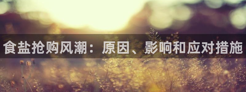 威九国际软件