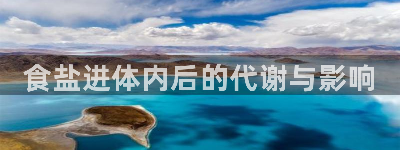 威九国际fX8x