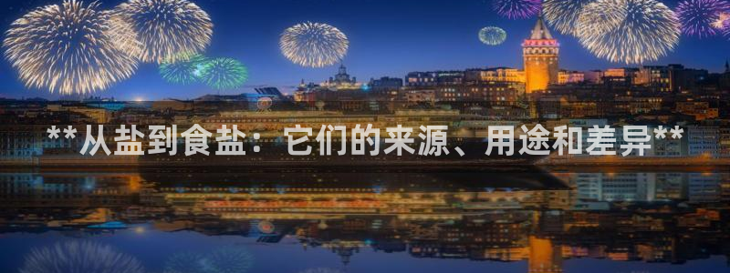 威九国际软件公司简介