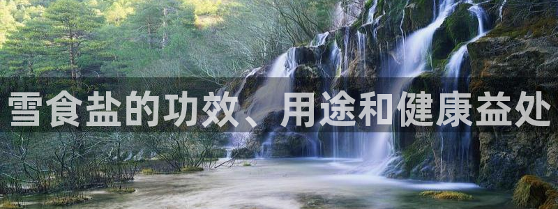 威九国际旗下艺人