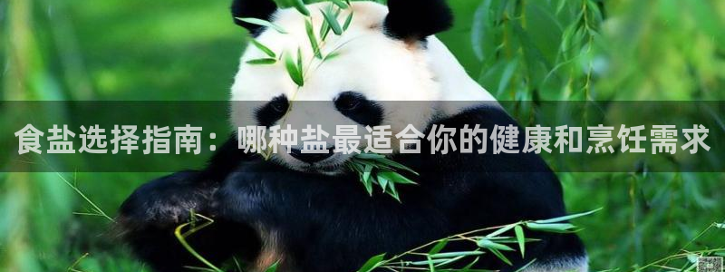 威九国际下载官网app
