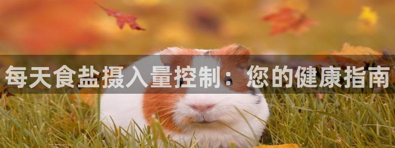 威九国际留学