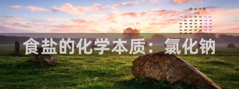 威九国际官方下载