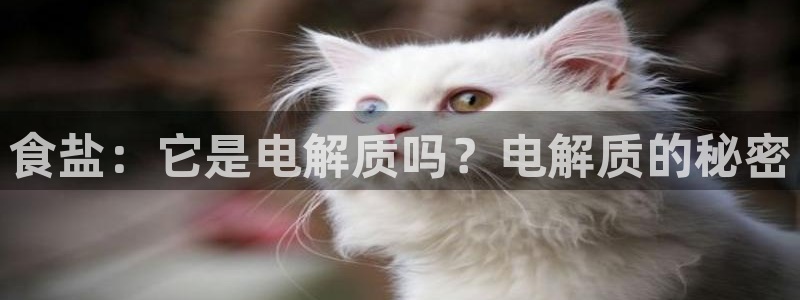 威九国际78m光伏巨头隆基绿能esg成色