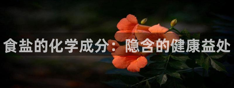 78mapp威九国际成全视频