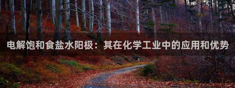 威九国际成长模式