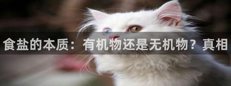 威九国际旗下艺人都有谁