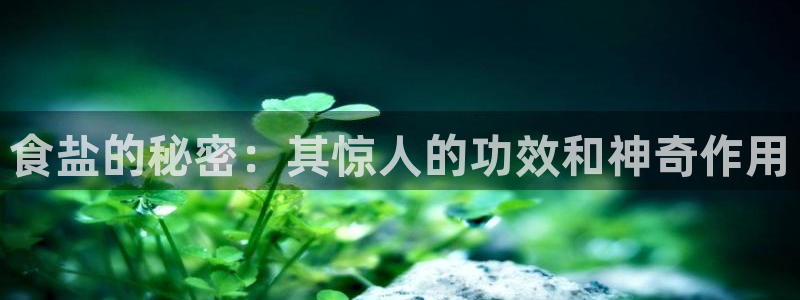 威九国际app哪个地方