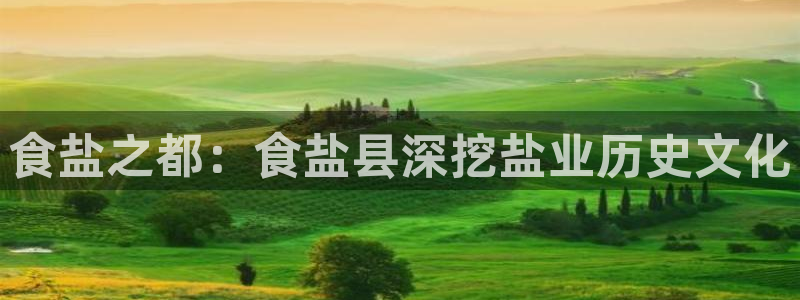 威九国际动漫