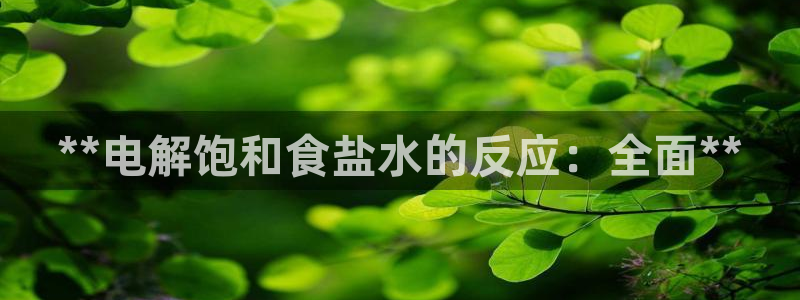 威九国际官网版下载