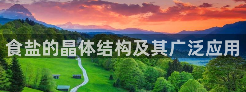 威九国际78m域名