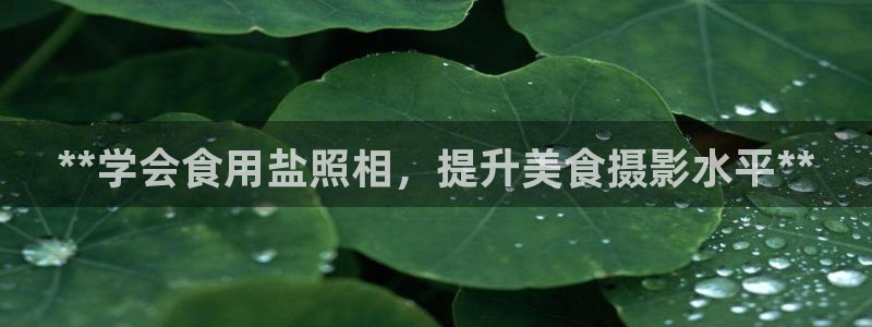 威九国际空降服务女演员名字