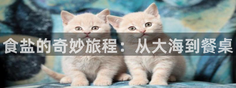 威九国际网站进入产品分类