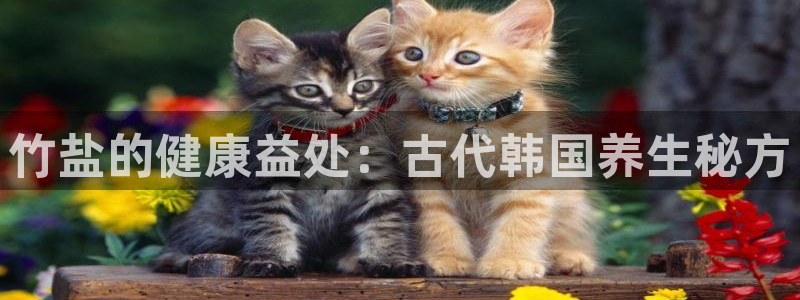 威九国际后爸
