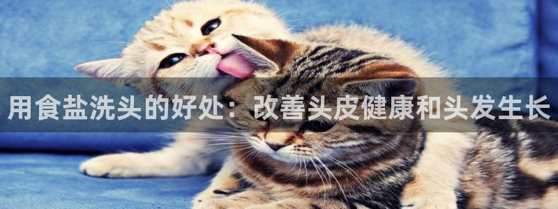 威九国际娜娜