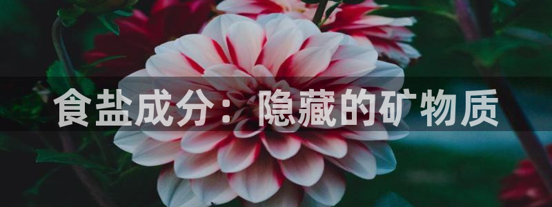 威九国际网站客服电话多少号码