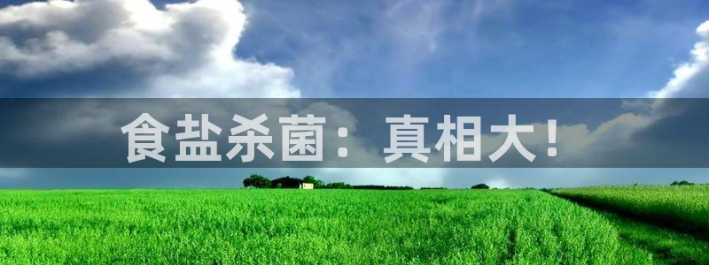 威九国际的网站入口在哪里