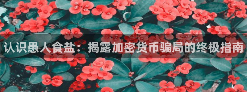 威九国际78mob游戏特色