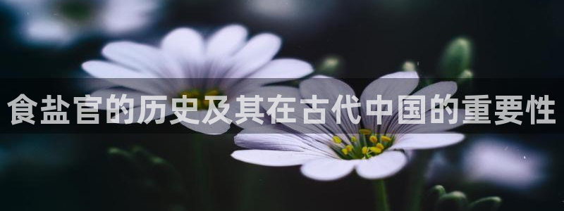 威九国际入口一