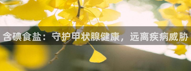 威九国际女星
