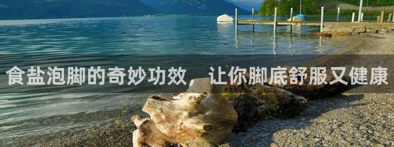 威九国际的网站入口在哪里