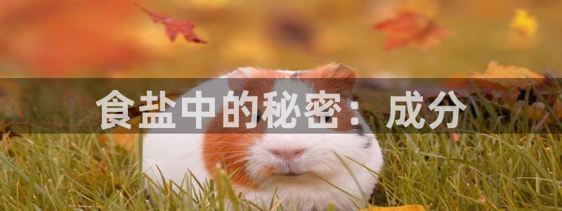 威九国际网站进入产品中心怎么进