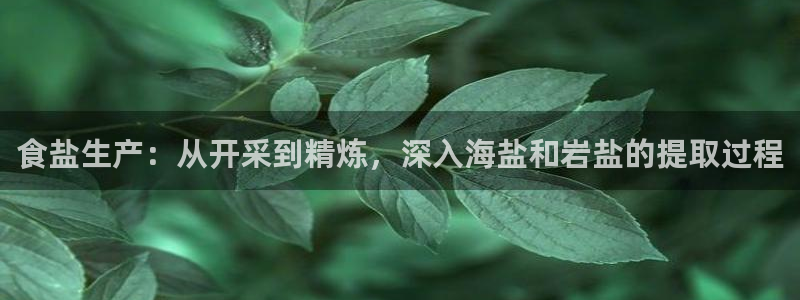威九国际客服电话人工服务