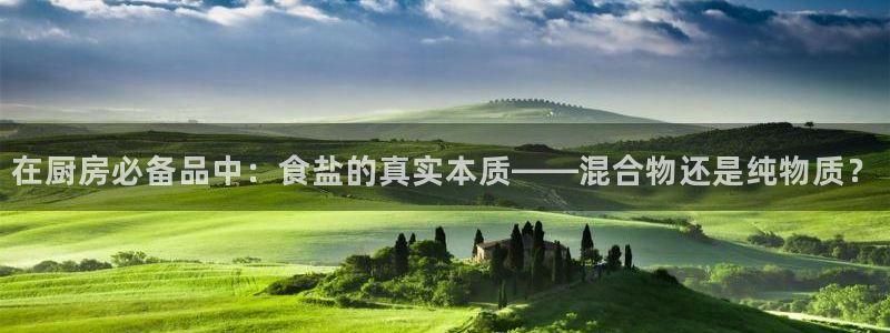 威九国际网站入口地址查询