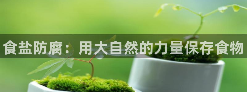 威九国际女孩