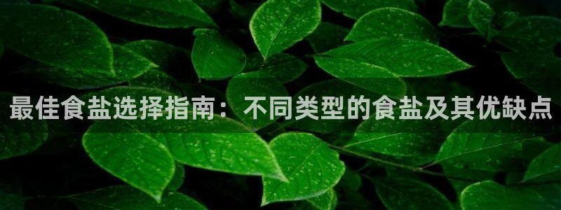 威九国际的网站入口在哪里