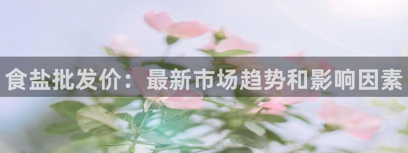 威九国际ppt免费