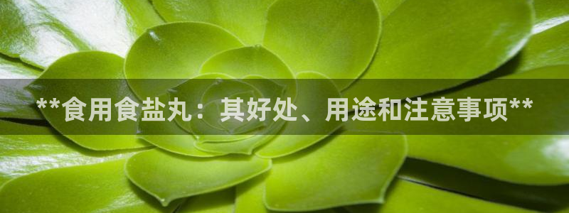 威九国际游戏app(网站)