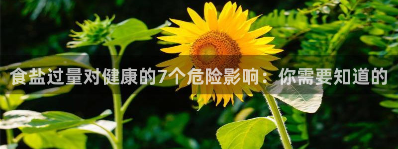 威九国际78mb42斗罗大陆