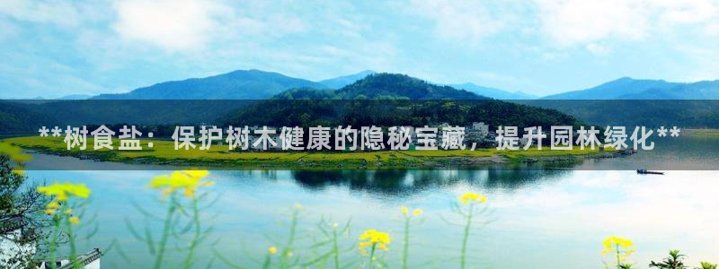威九国际官网在线进入网站查询网址