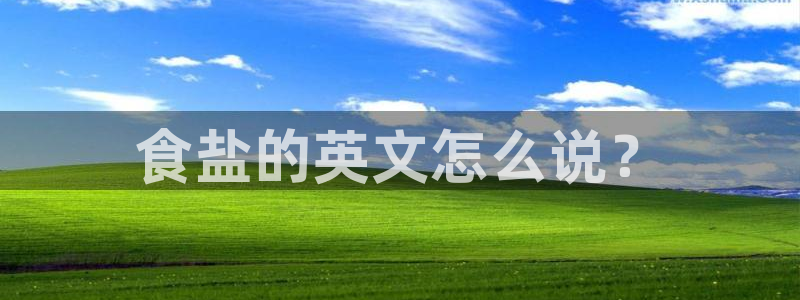 威九国际后爸