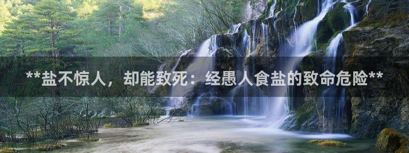 威九国际人民网招聘