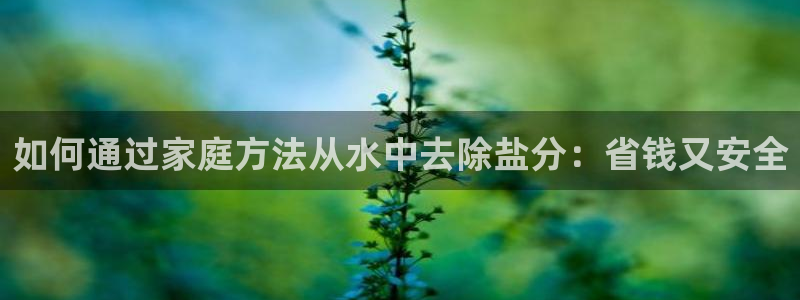 威九国际旗下艺人都有谁
