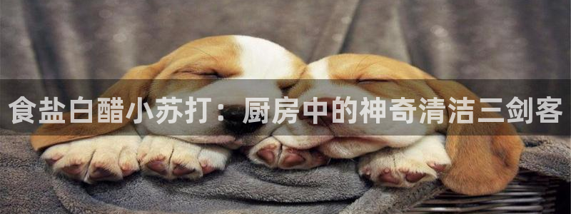 威九国际网站下载
