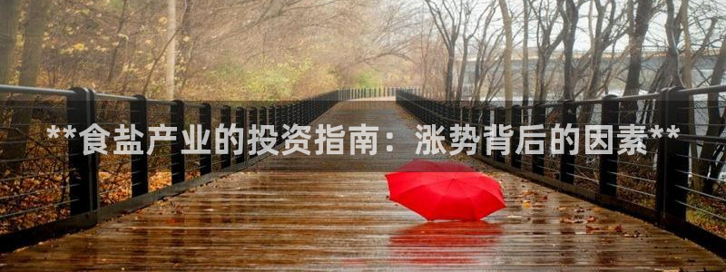 威九国际成长模式