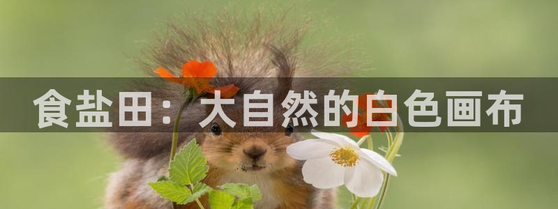 威九国际网站人入口