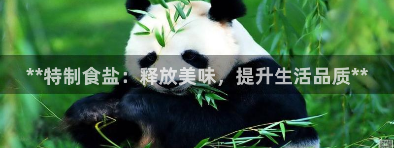 保定威九网络科技有限公司是干嘛的