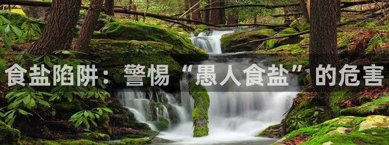 威九国际游戏
